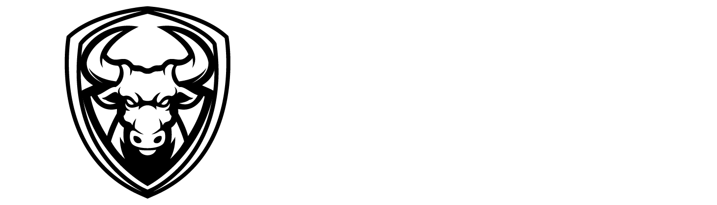 Toro Traders